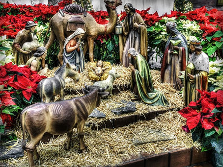 2023 Christmas Appeal