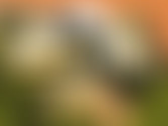 Presidents' Day closure schedule