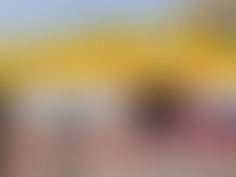 Microline estuvo presente en la feria Vietnam Medi-Pharm 2024