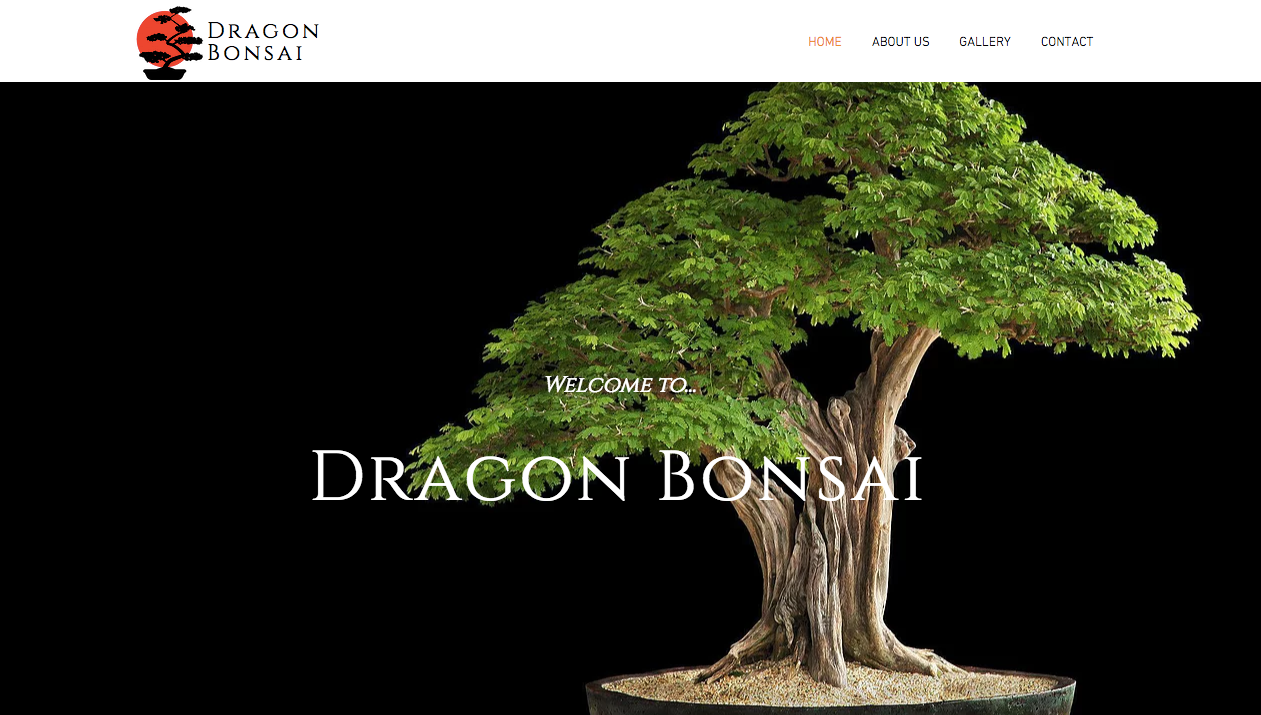 Ottawa Bonsai Trees Dragon Bonsai Home