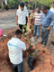 Raghuveer Plantation in Mangalore 