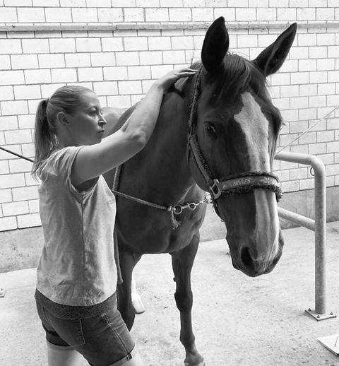 Behandlung Pferd Nacken