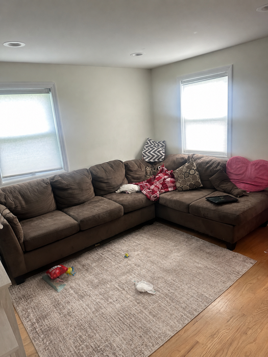 Brown sectional sofa on a light rug in a living room