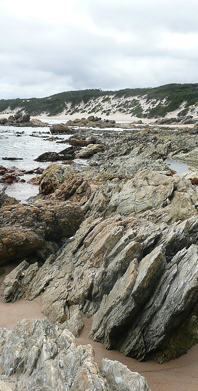 counselling hobart_therapy_somatic counselling_breathwork_.jpeg