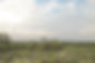 DSCF2927-Edit-2.jpg
