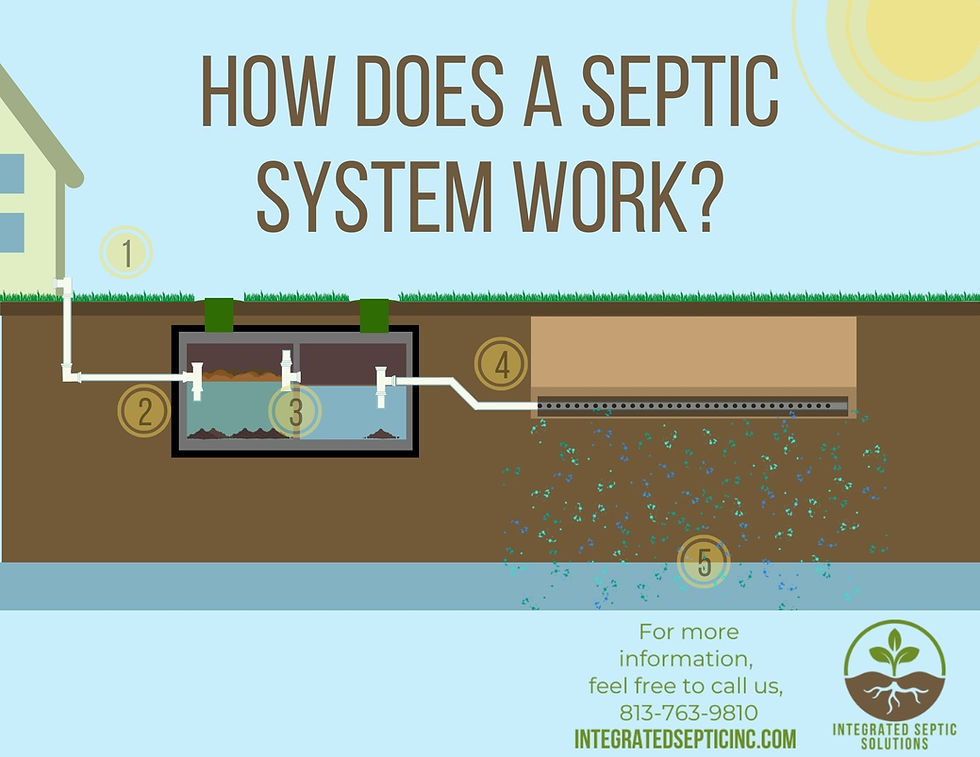 How does a septic system work?