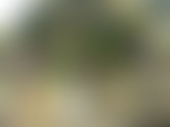 TRABAJOS DE PREPARACIÓN