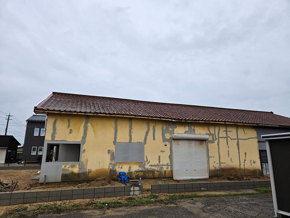 梅雨に入ります