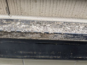 サイディングの補修