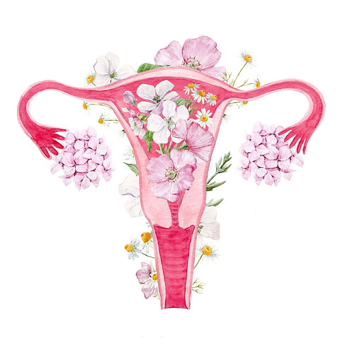 uteruswithflowers 012020.jpeg