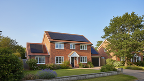 10 Essential Tips for Homeowners Considering Solar Panels