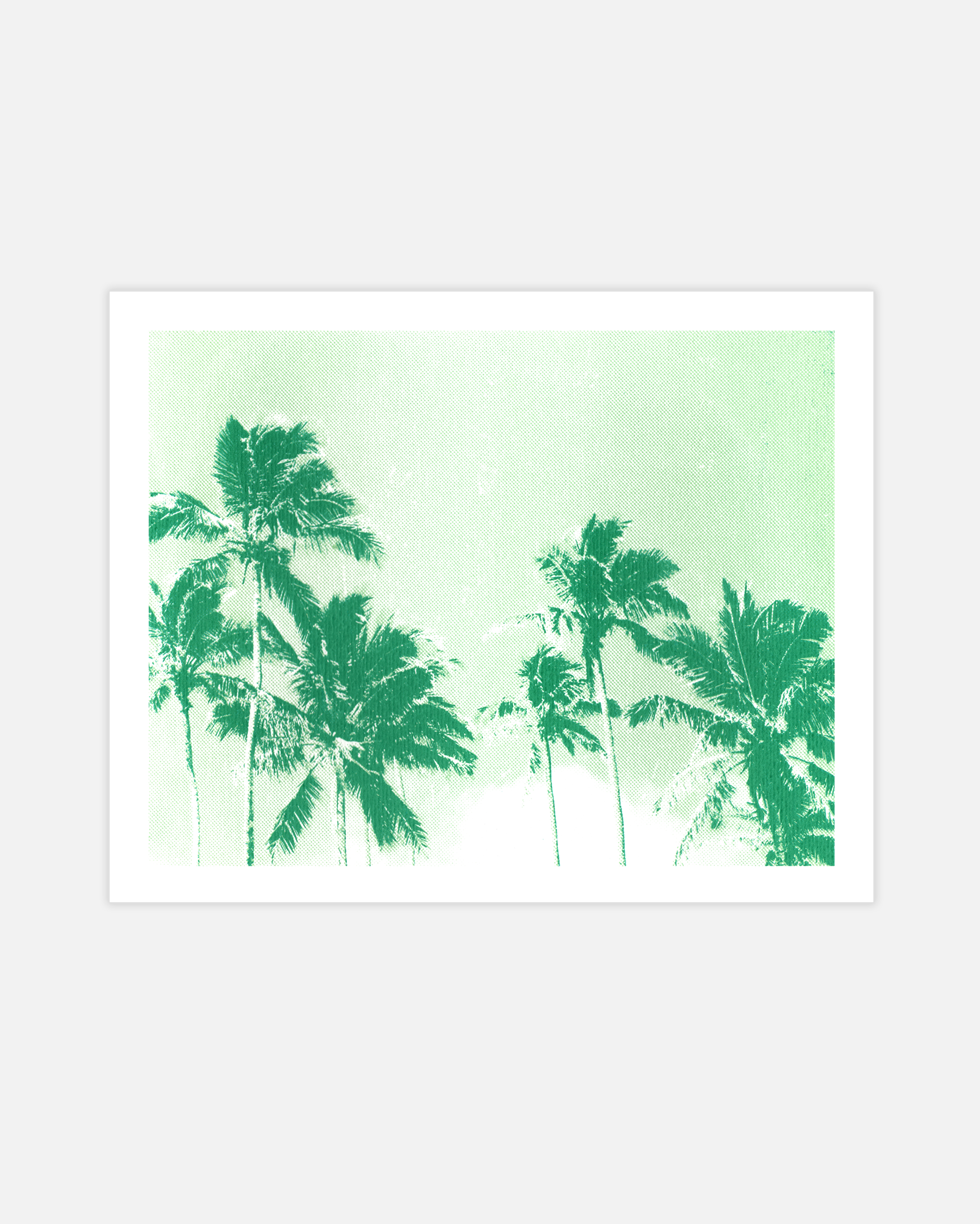 Palm Breezes Green Print