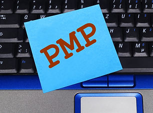 PMP.jpeg