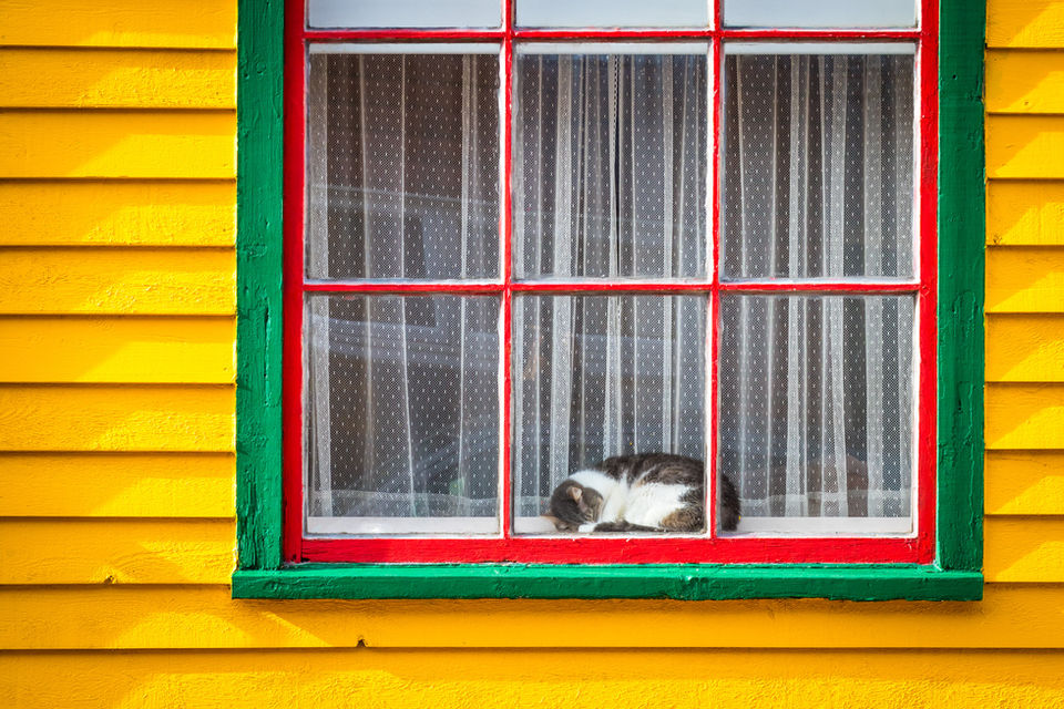 Sleeping cat on the windowsill of an old traditional yellow wooden house in Saint Pierre and Miquelon, illustrating the charm of the local architectural heritage.