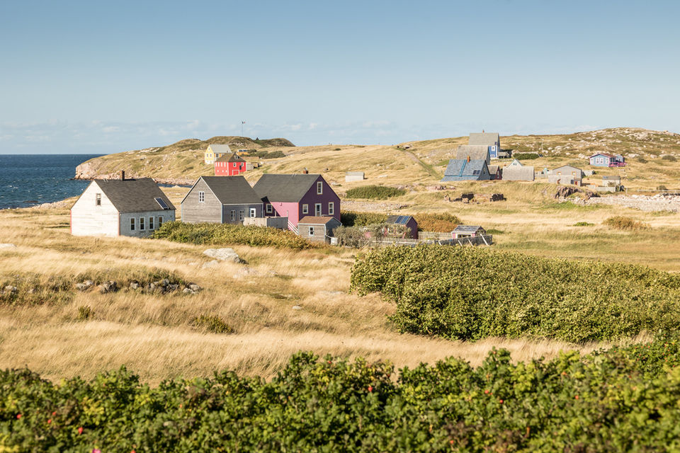 Panoramic view of several traditional colorful wooden houses in Île aux Marins, Saint Pierre and Miquelon, surrounded by wild nature and unspoiled maritime landscape.