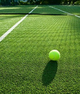 Tennis-Court grass.jpg