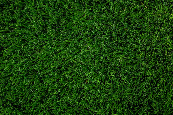 Artificial Turf