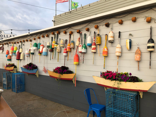 Marina Sponsor - Gloucester 2025 | Global For Good