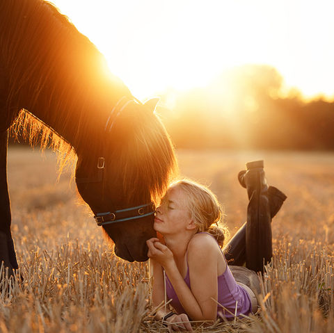 Portraitaufnahme im Sonnenuntergang mit Pferd und Mensch
