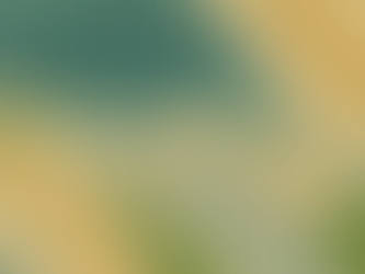 מפה טופוגרפית: להבין את הנוף שמתחת לקווים