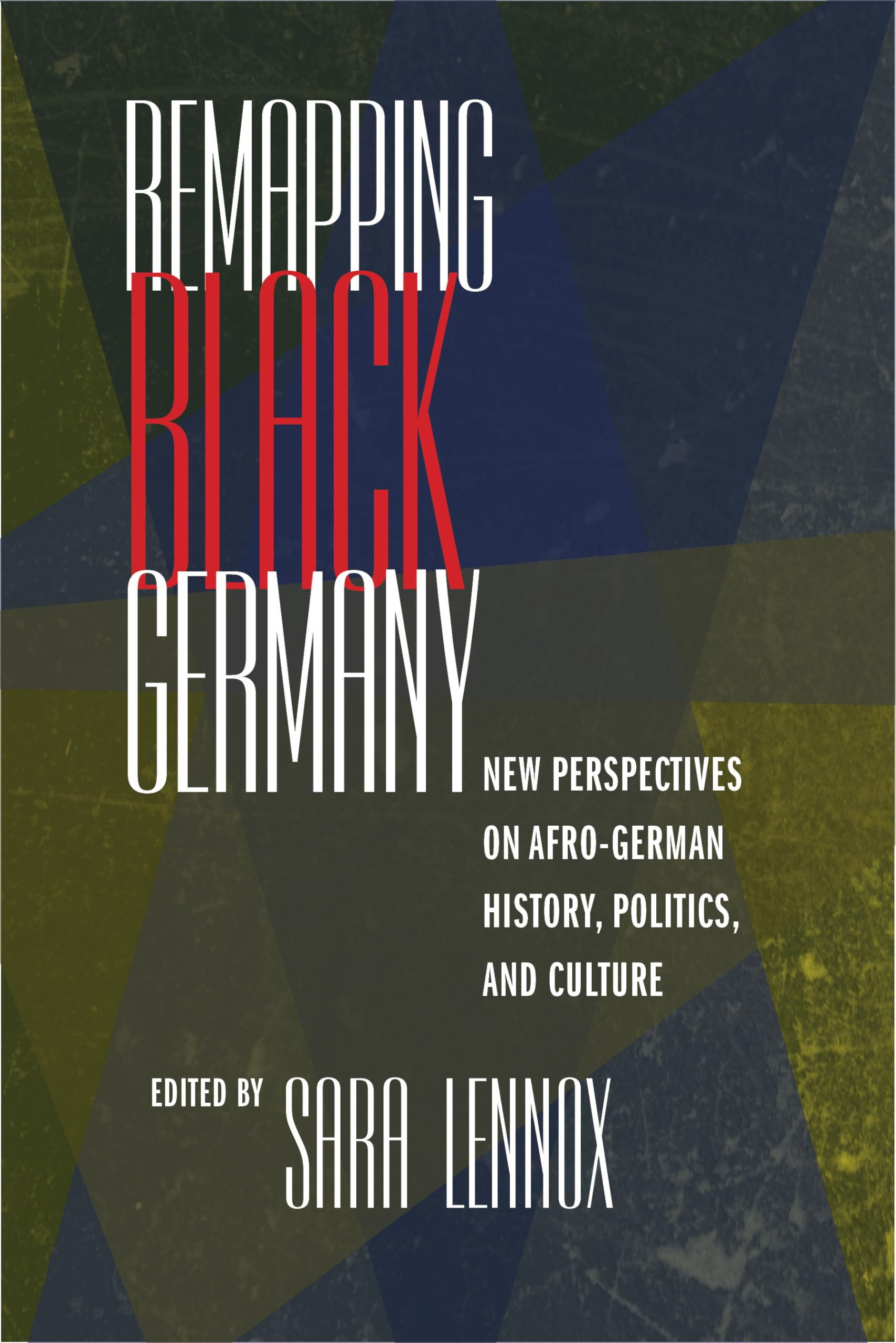 Remapping Black Germany: New Perspectives on Afro-German History, Politics, and