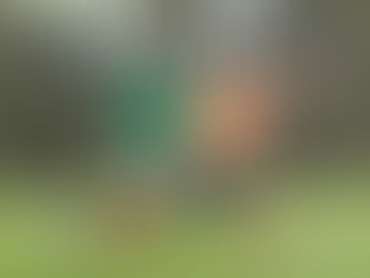 Arnreit ringt Freistadt nieder