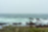 Amy Medina_Private Photo Editor (9).jpg