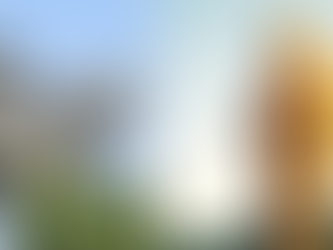 #Op-Ed – Bleeding Statues of India: The Statue of Unity Diverting Funds from Essential Public 
