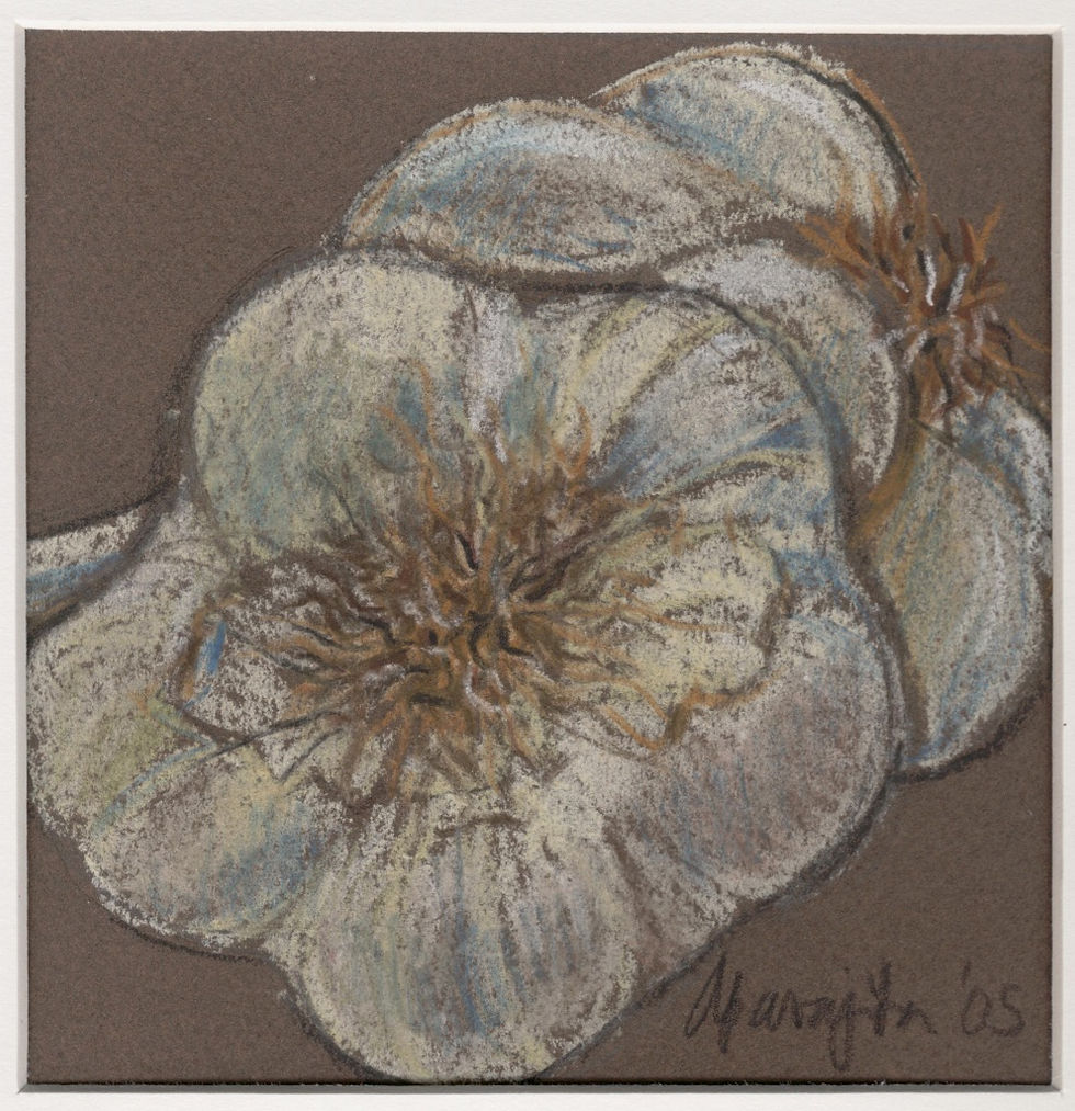 Still Life 15