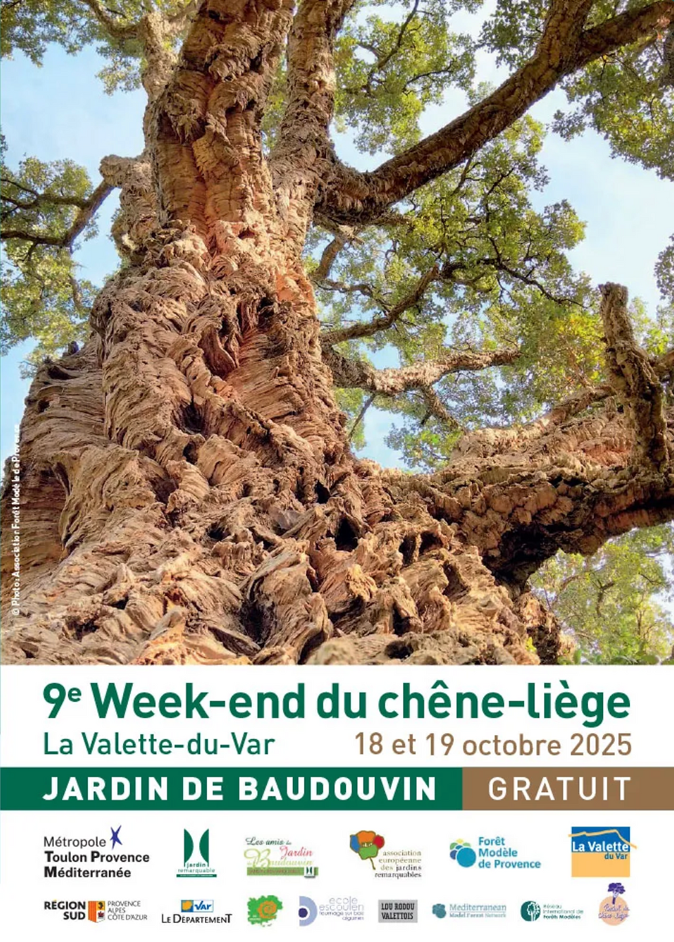 WE du Chêne Liège La Valette