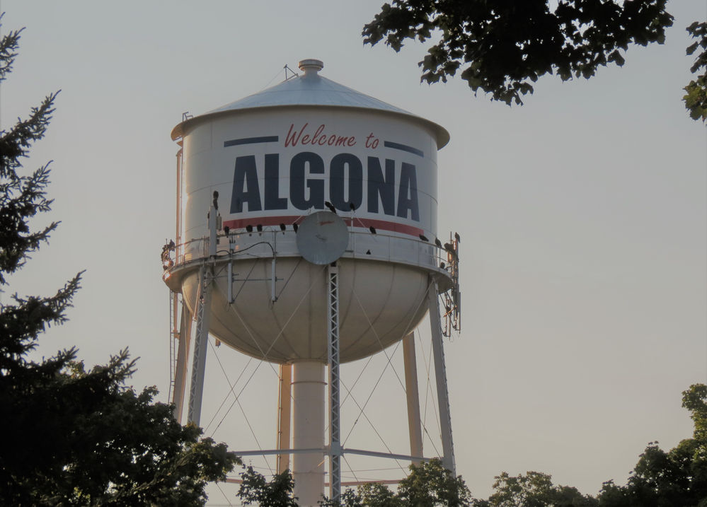 Sally jameson essay 06 image