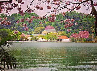 410c678b647322287c65e04c40db94b3 (1).jpg