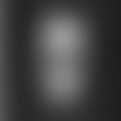 The Maid Leapt Through Time