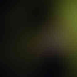 interrogation room03