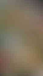 Whole Foods Market02