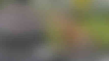 Whole Foods Market07