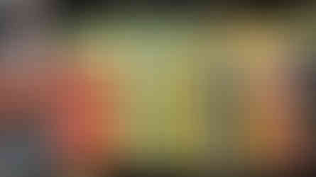 Whole Foods Market03