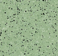 SD 45138_EC 55138 mid green.jpeg
