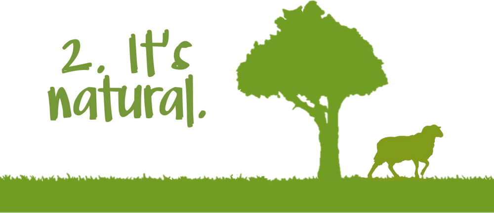 Green Sheep Insulation & Home Comfort natural