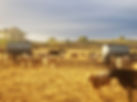 BANNER IMAGE.jpg