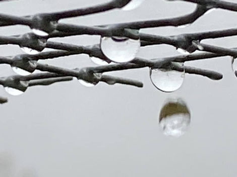 IMG_9700