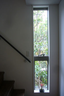 縦長窓からは、ヤマモモの樹が見えます
