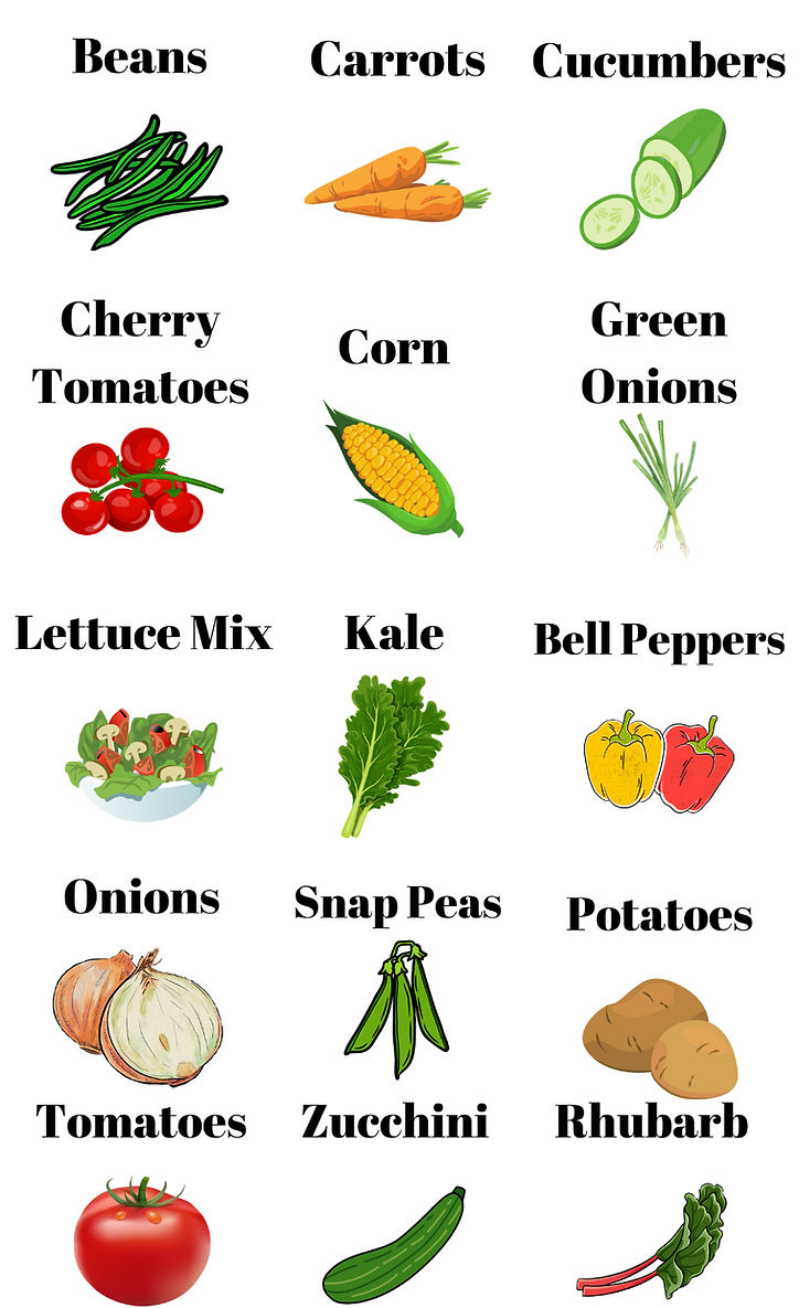 Untitled design_edited.jpg