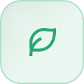 spring-icon.png