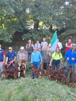 Campionato Europeo Setter Irlandesi su Selvaggina Naturale 2025