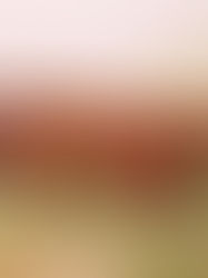 Lo Standard da Lavoro del Setter Irlandese