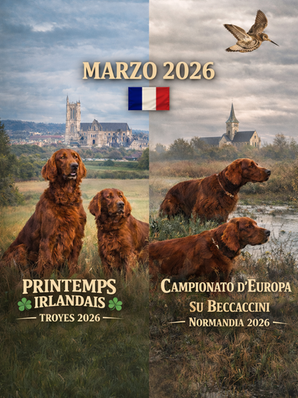 Primavera Irlandese & Campionato Europeo 2026