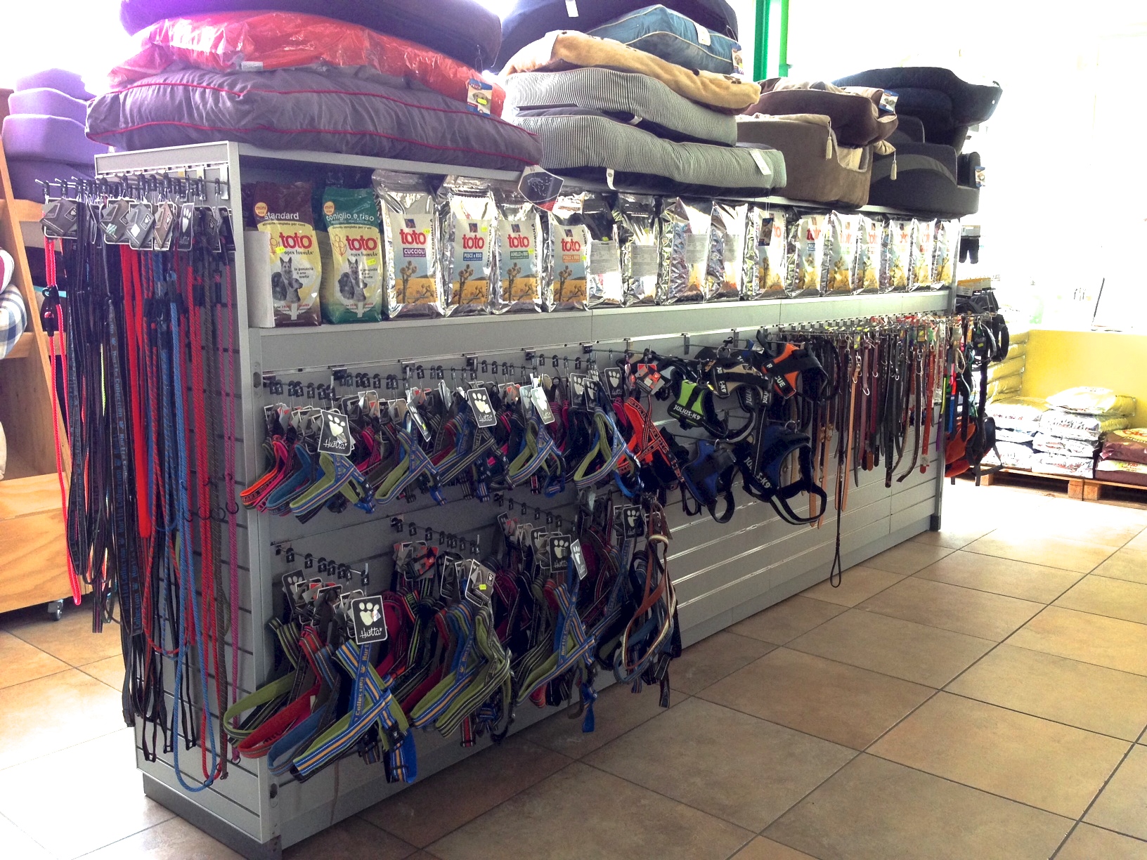 Chi siamo | Centro Cinofilo DogZone | Bergamo