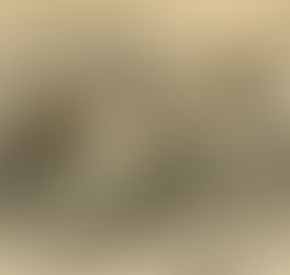 Regolamento Campionato Sociale di Lavoro