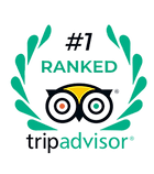 TRIP ADVISOR AWARD.png